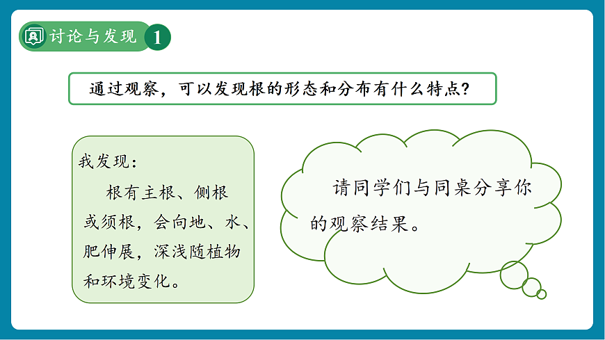 【新教材新課標(biāo)】粵教粵科版科學(xué)三年級上冊第3課《植物的根》教學(xué)課件+素材第7頁