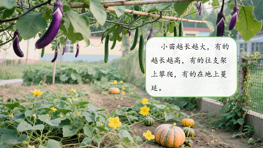 【新教材新課標(biāo)】粵教粵科版科學(xué)三年級(jí)上冊(cè)第4課《植物的莖》教學(xué)課件+素材第3頁(yè)