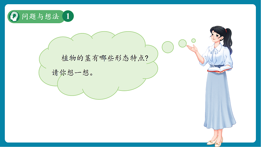 【新教材新課標(biāo)】粵教粵科版科學(xué)三年級(jí)上冊(cè)第4課《植物的莖》教學(xué)課件+素材第6頁(yè)
