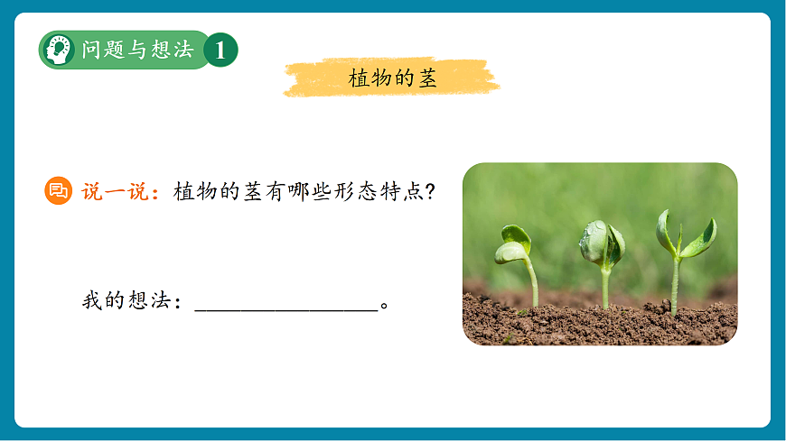【新教材新課標(biāo)】粵教粵科版科學(xué)三年級(jí)上冊(cè)第4課《植物的莖》教學(xué)課件+素材第7頁(yè)