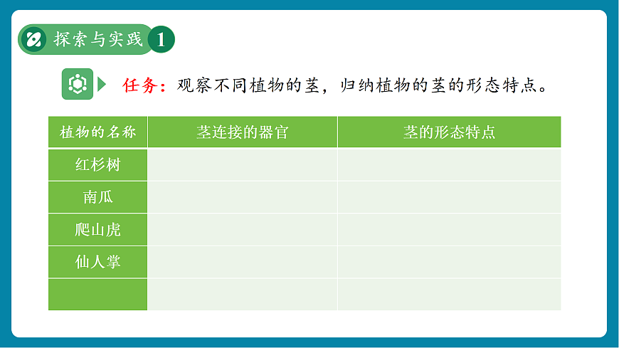 【新教材新課標(biāo)】粵教粵科版科學(xué)三年級(jí)上冊(cè)第4課《植物的莖》教學(xué)課件+素材第8頁(yè)
