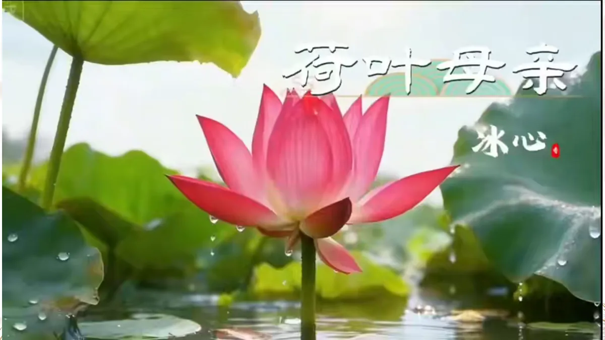 17449078第6页