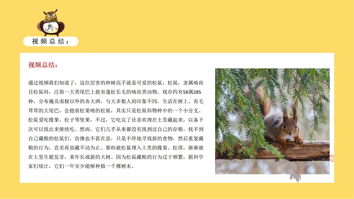 17449401第6页