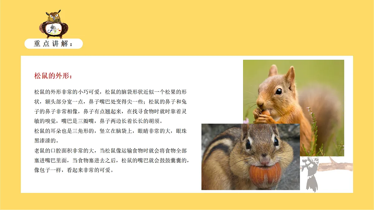 17449401第7页