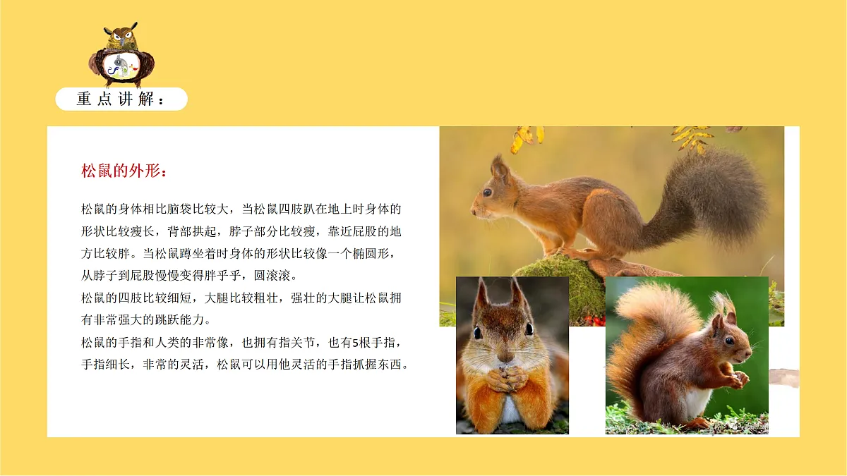 17449401第8页
