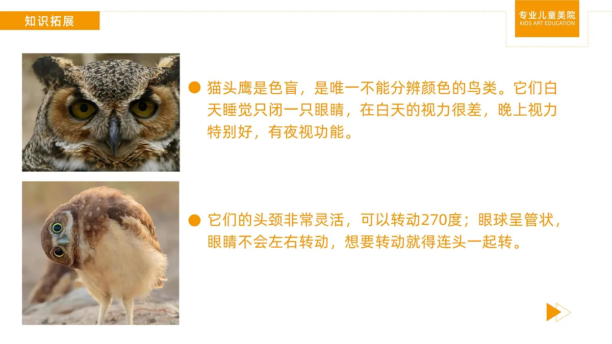 17449408第7页