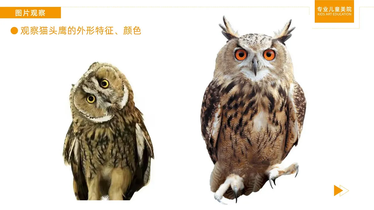 17449408第8页