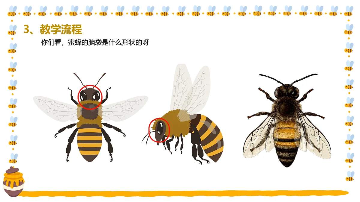 17449410第8页