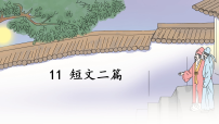 语文八年级上册（2024）12 短文二篇图片ppt课件
