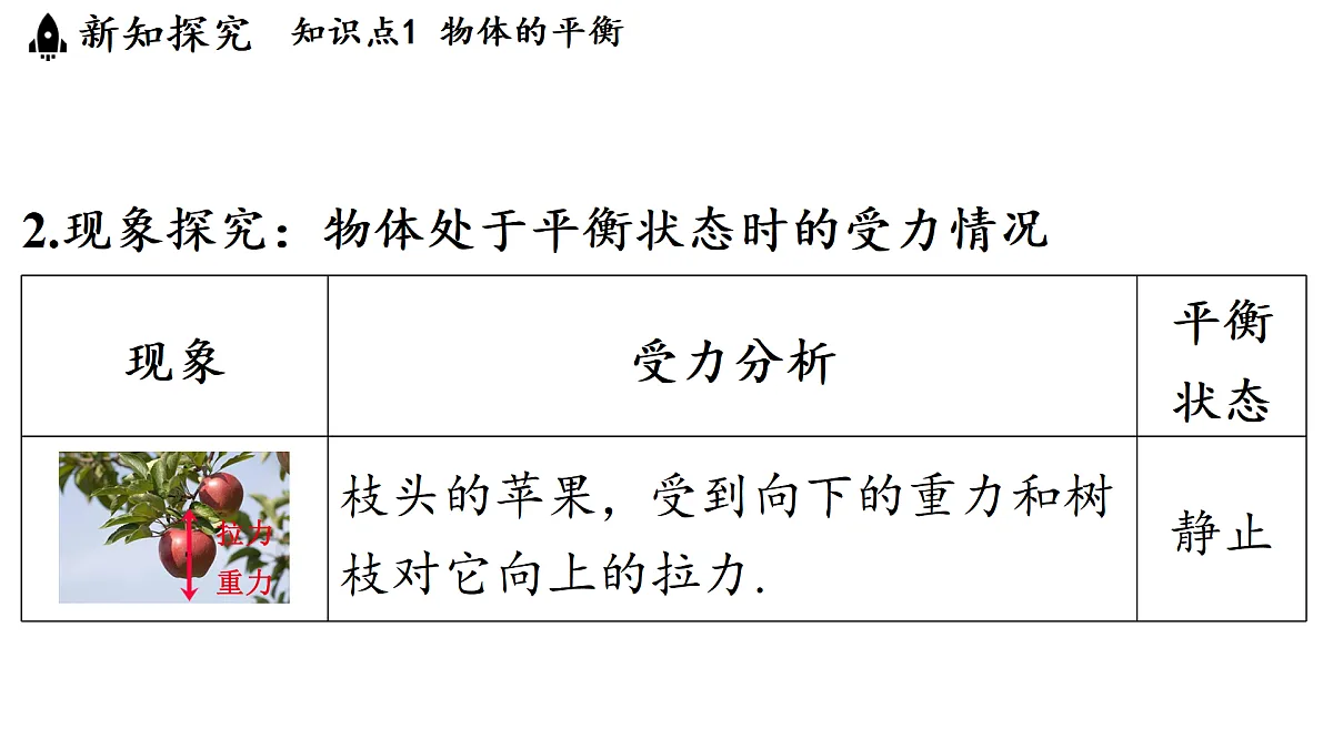 17451242第5页