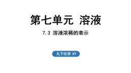2026年春新科粵版九年級化學下冊7.3 溶液濃稀的表示（課件）
