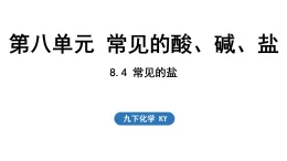 2026年春新科粵版九年級化學下冊8.4 常見的鹽（課件）