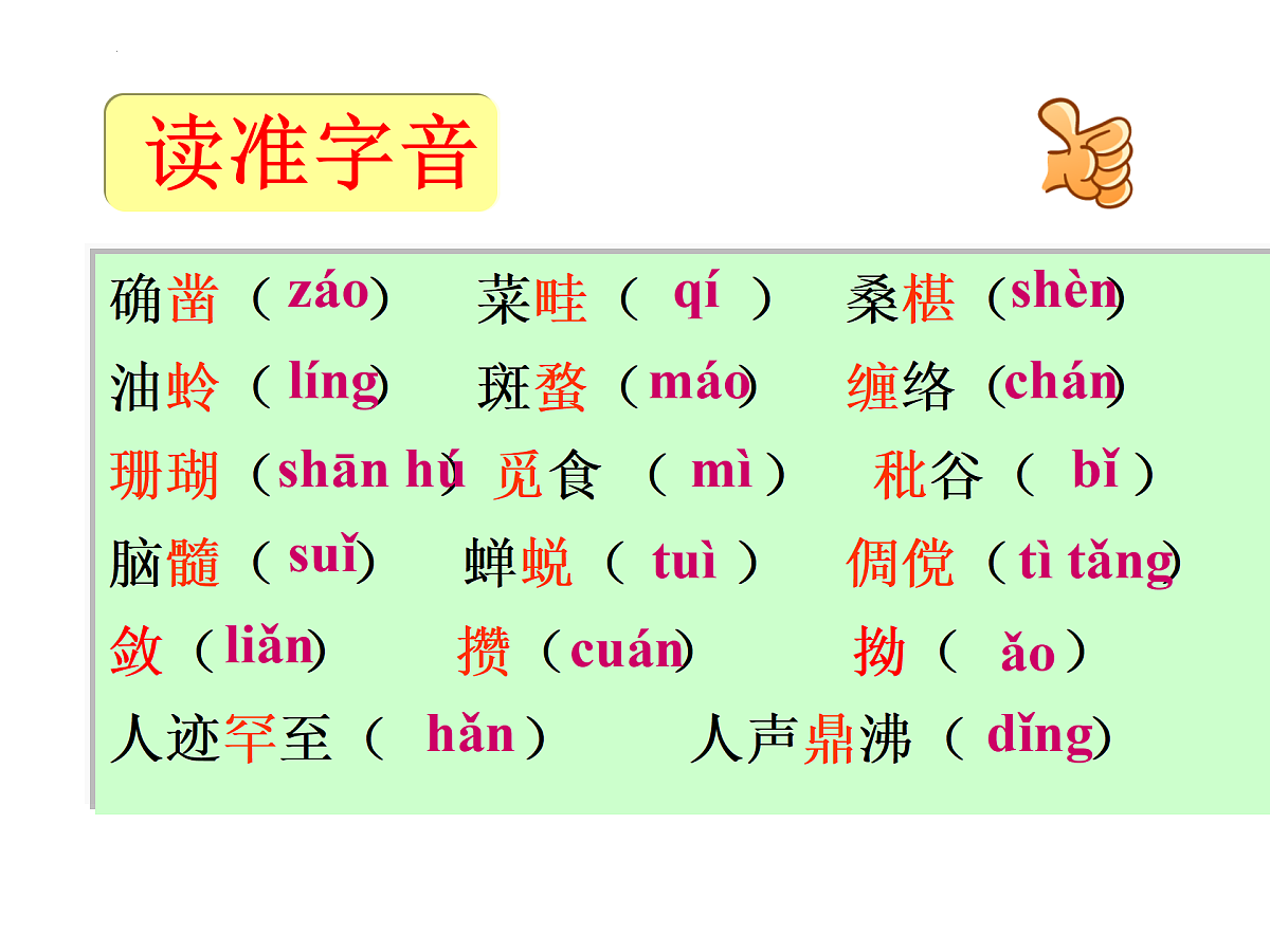 17451484第7页