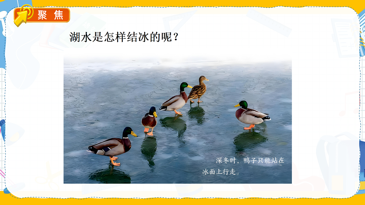 17453065第5页