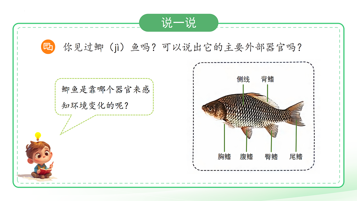 17453874第2页