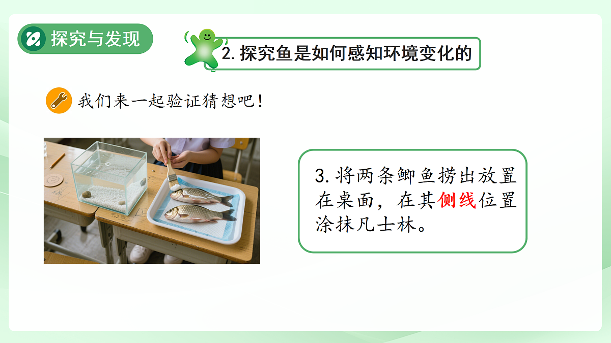 17453874第6页