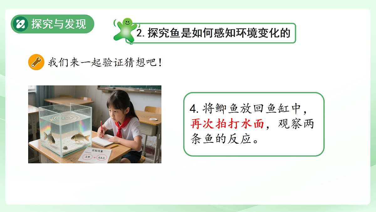 17453874第7页