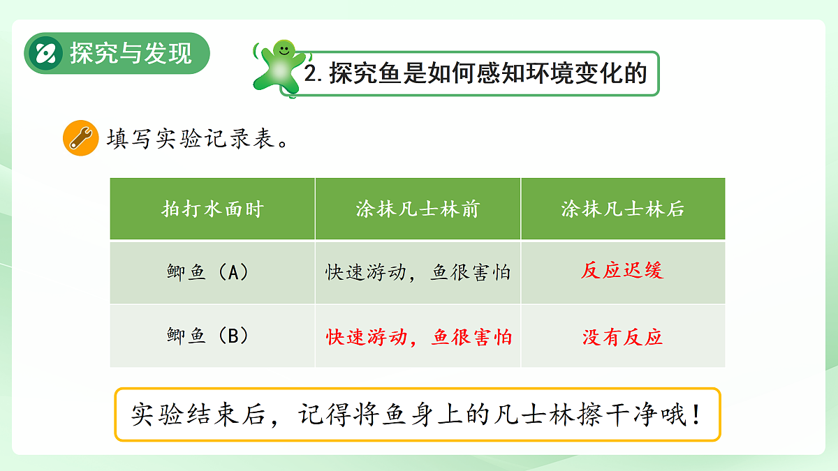 17453874第8页