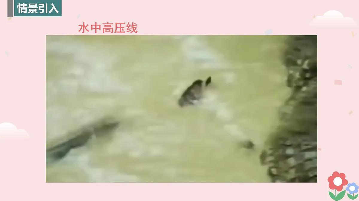 17454875第3页