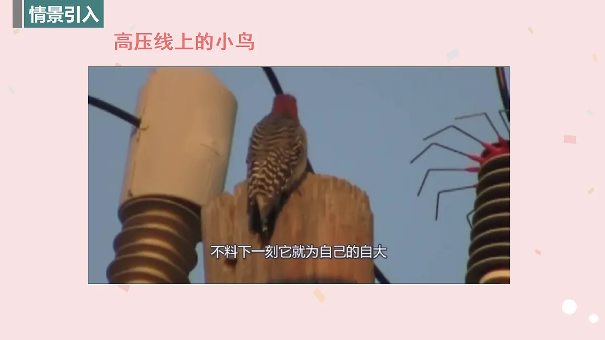 17455274第3页