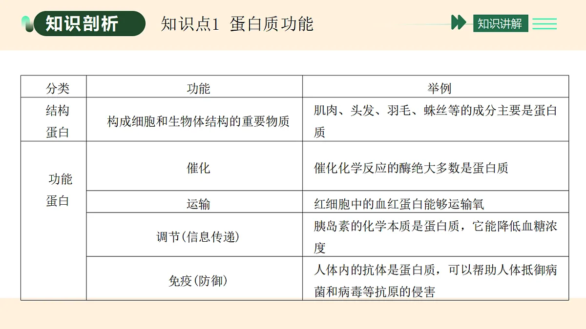 17455647第2页