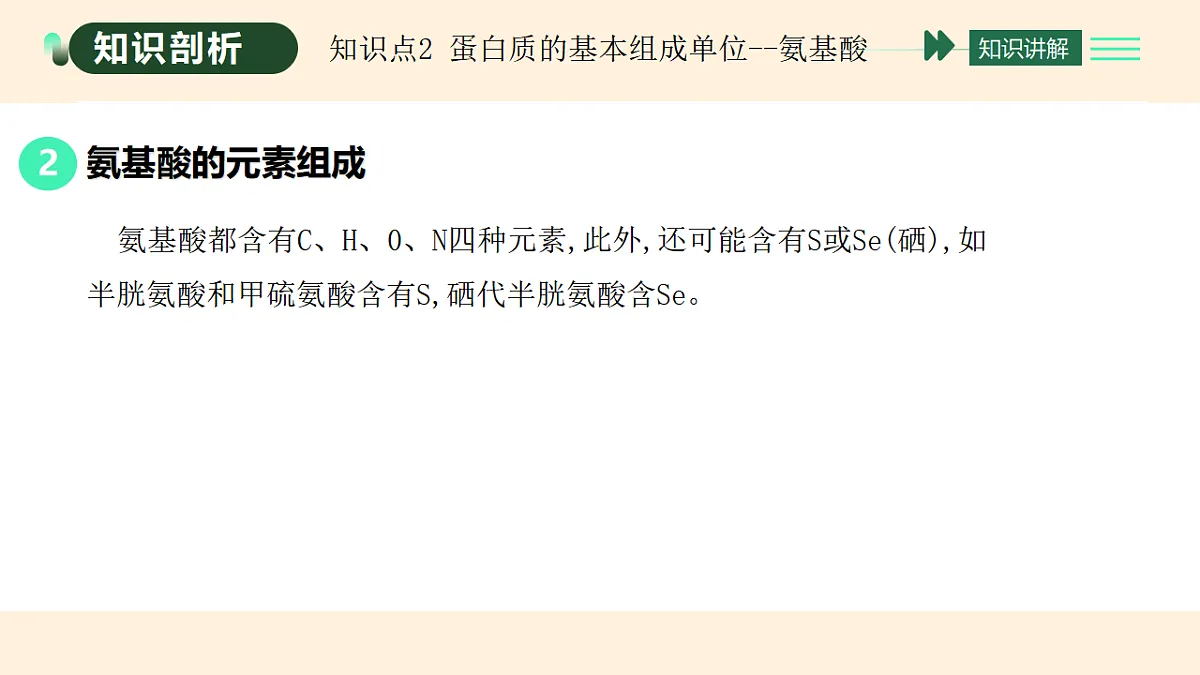 17455647第5页