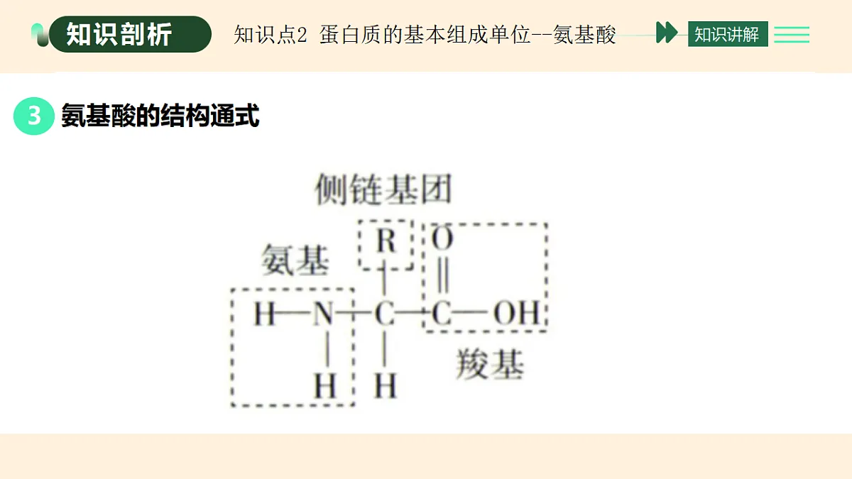 17455647第6页