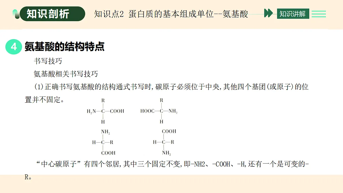 17455647第8页