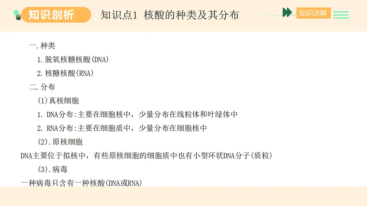 17455649第2页