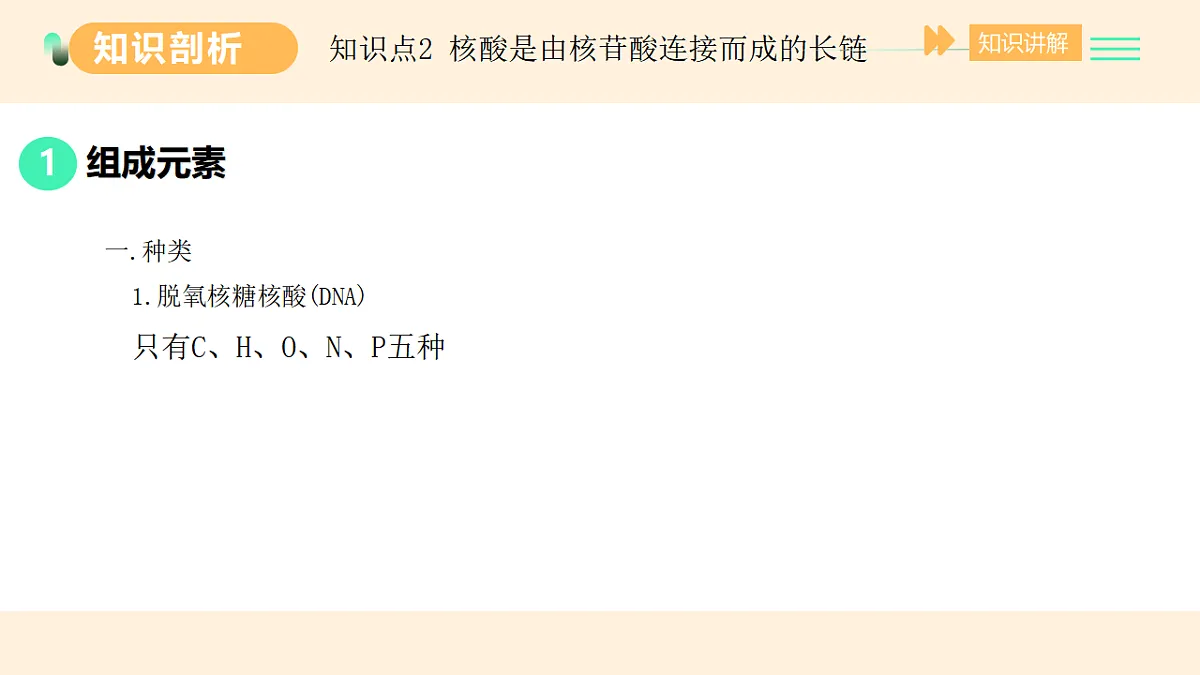 17455649第3页