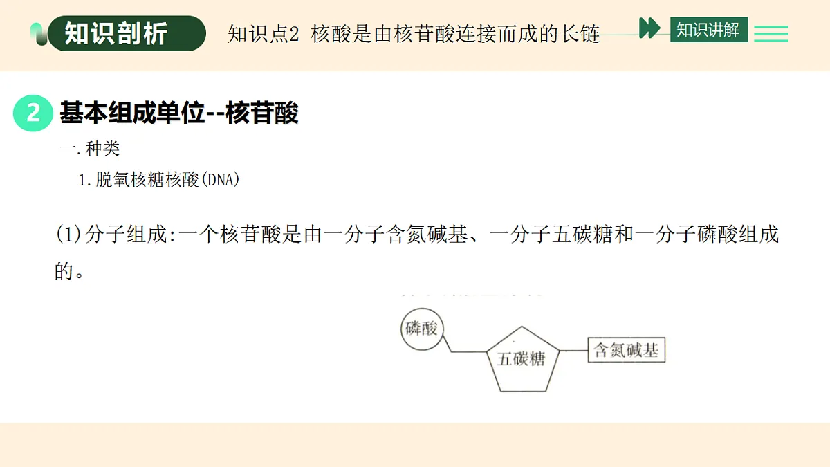 17455649第4页