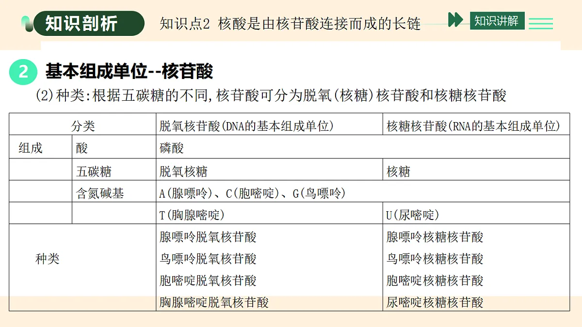17455649第5页