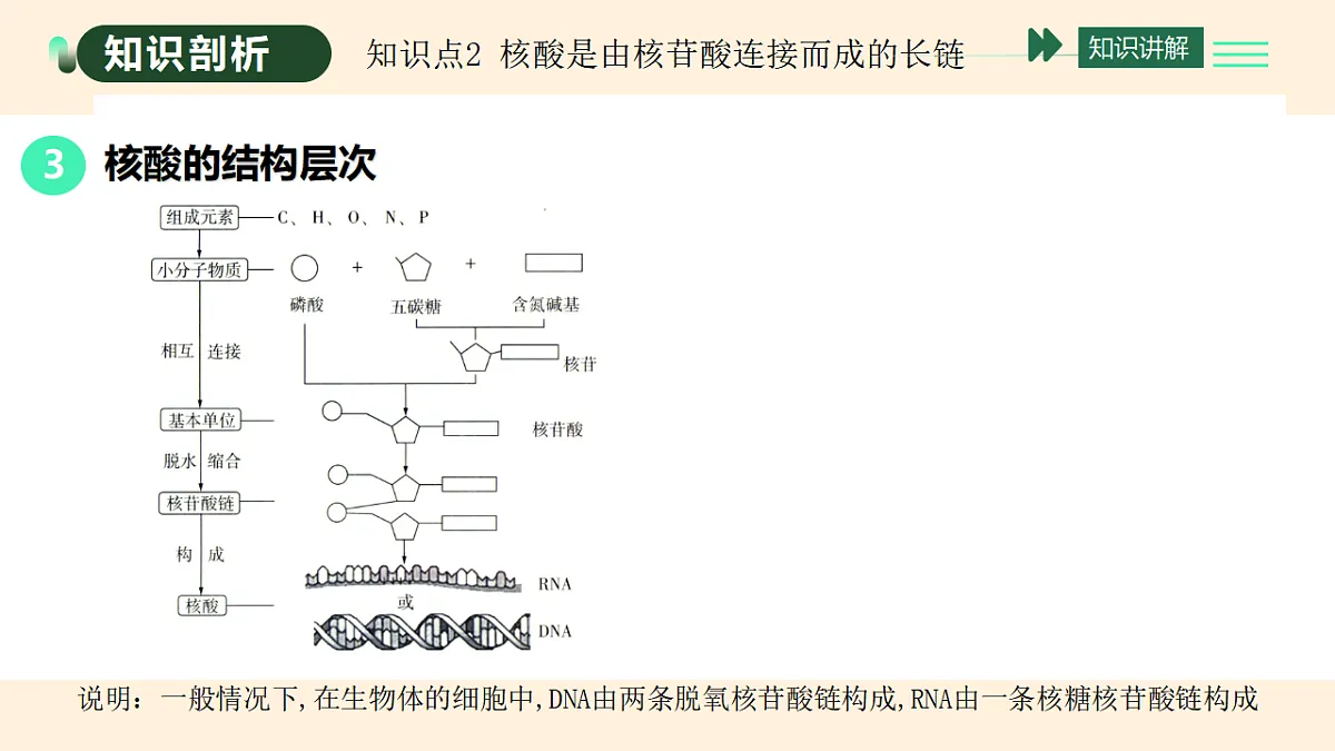 17455649第6页