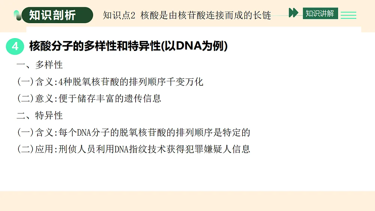17455649第7页