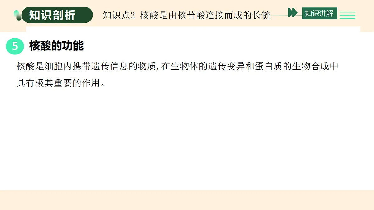 17455649第8页