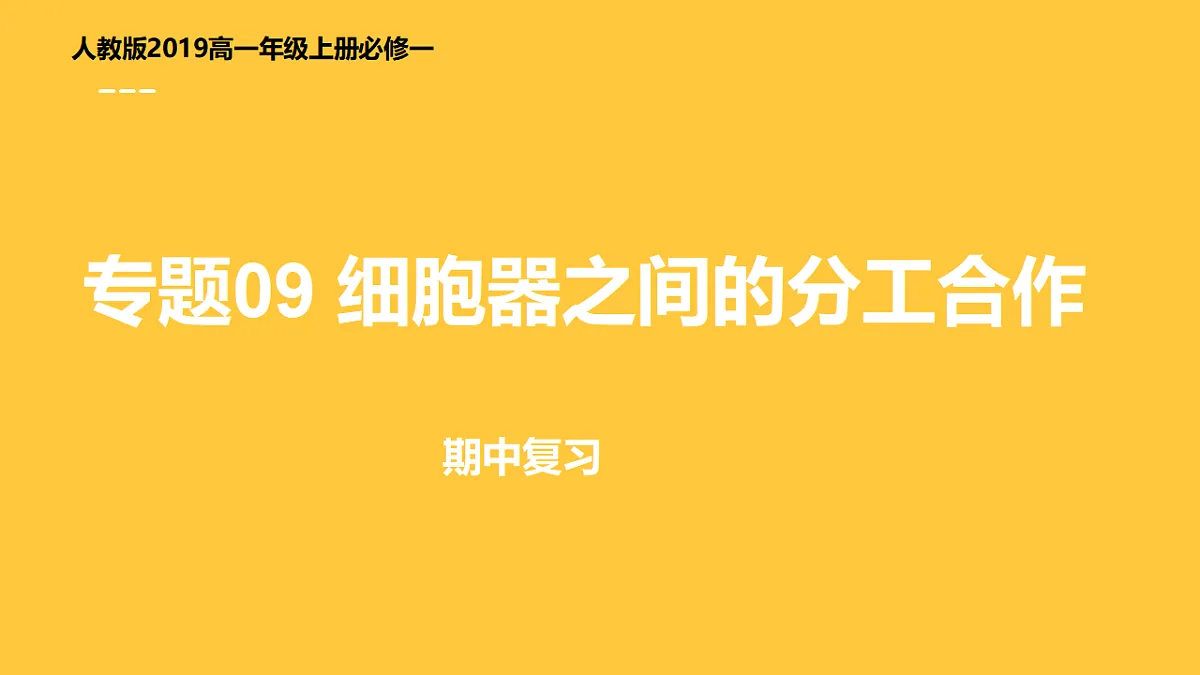17455653第1页
