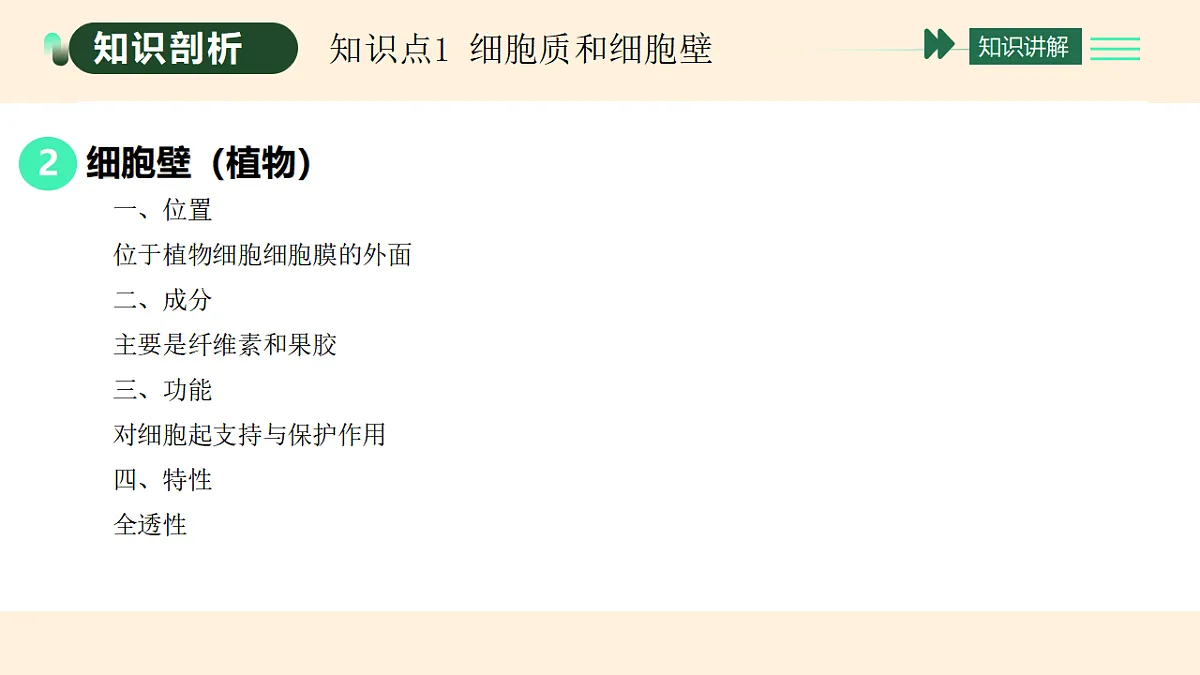 17455653第3页