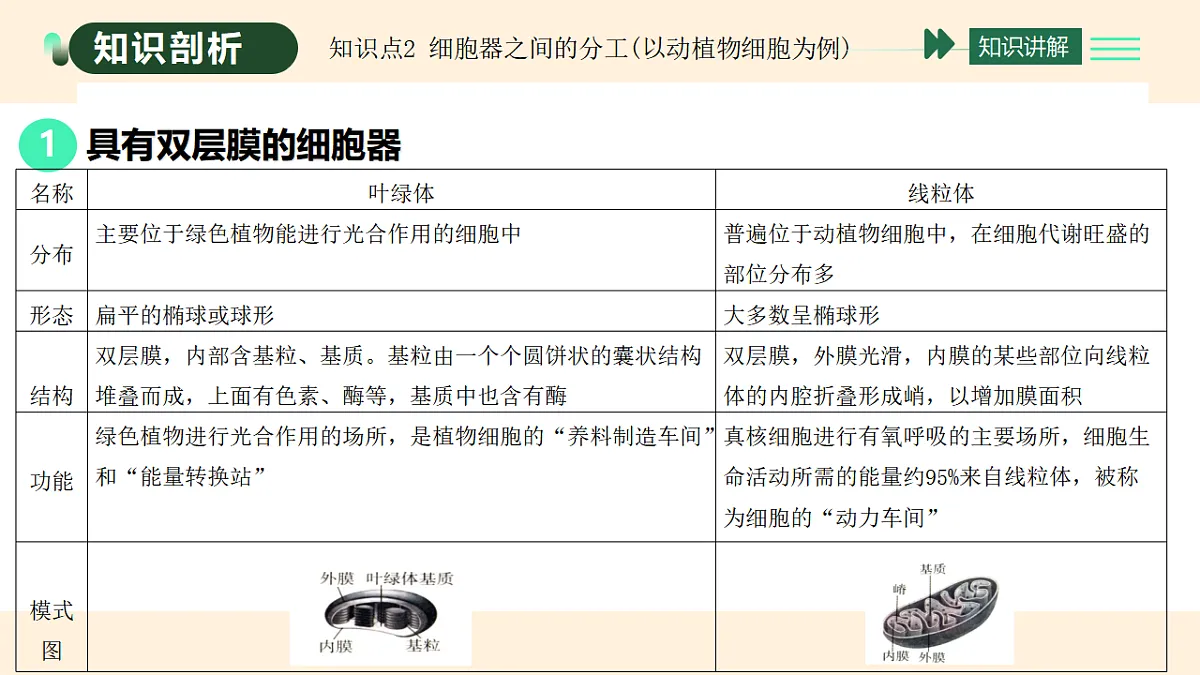 17455653第5页