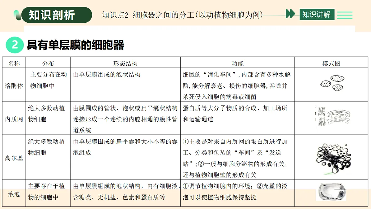 17455653第6页