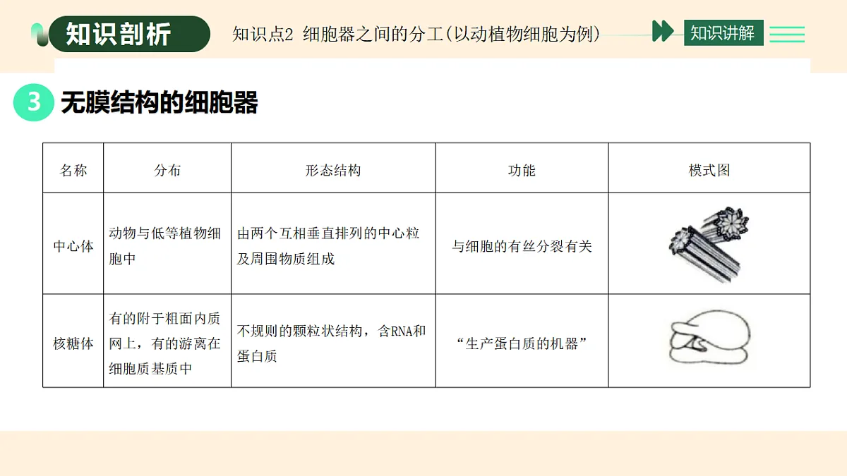 17455653第7页