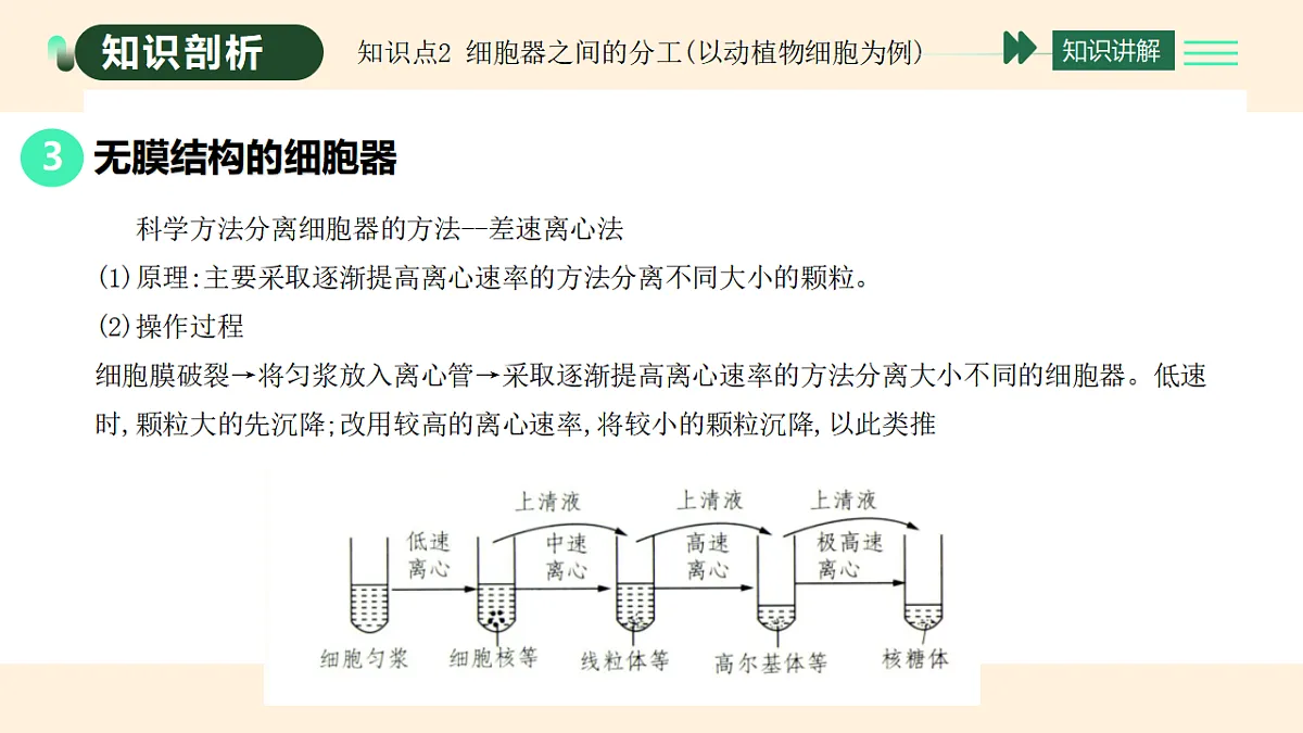 17455653第8页