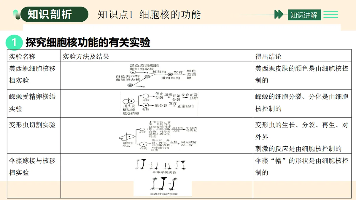 17455655第2页