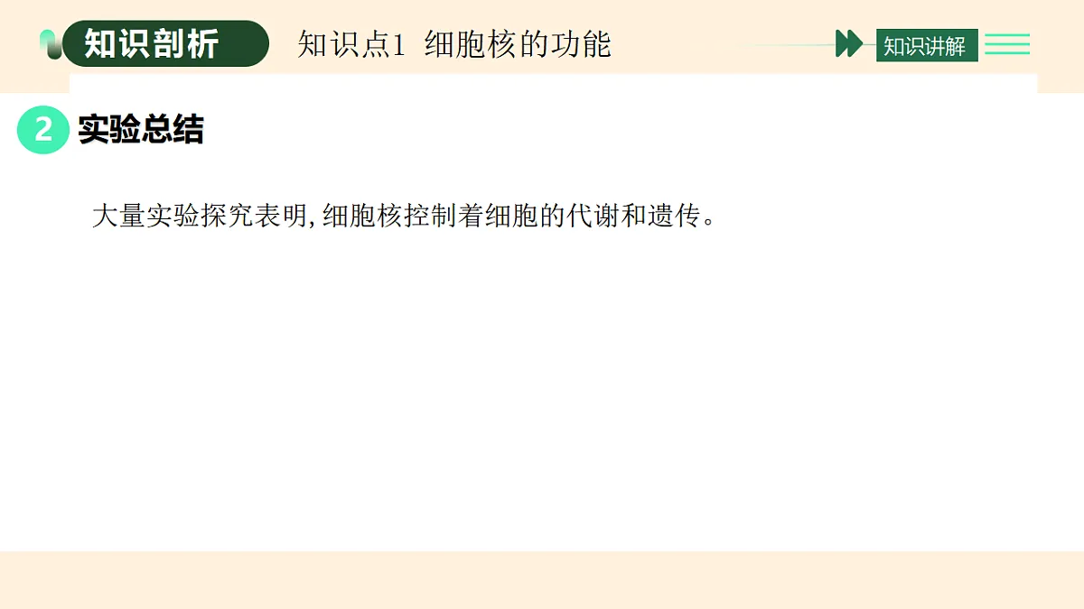 17455655第3页