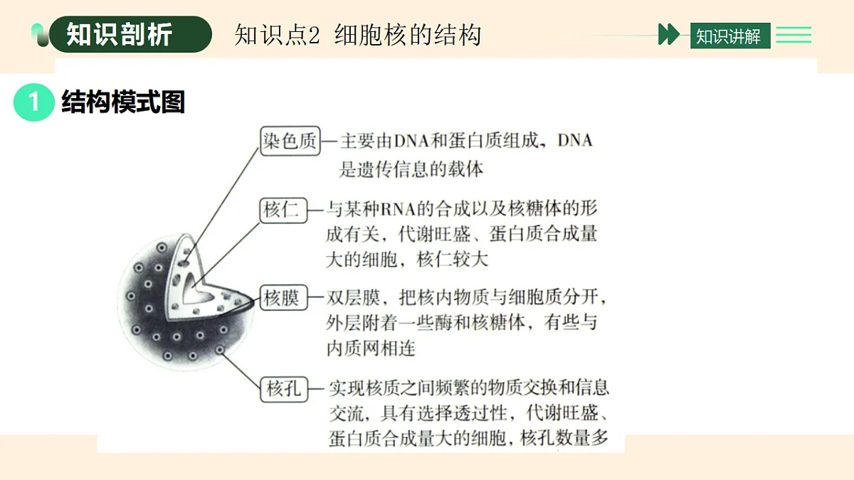 17455655第4页
