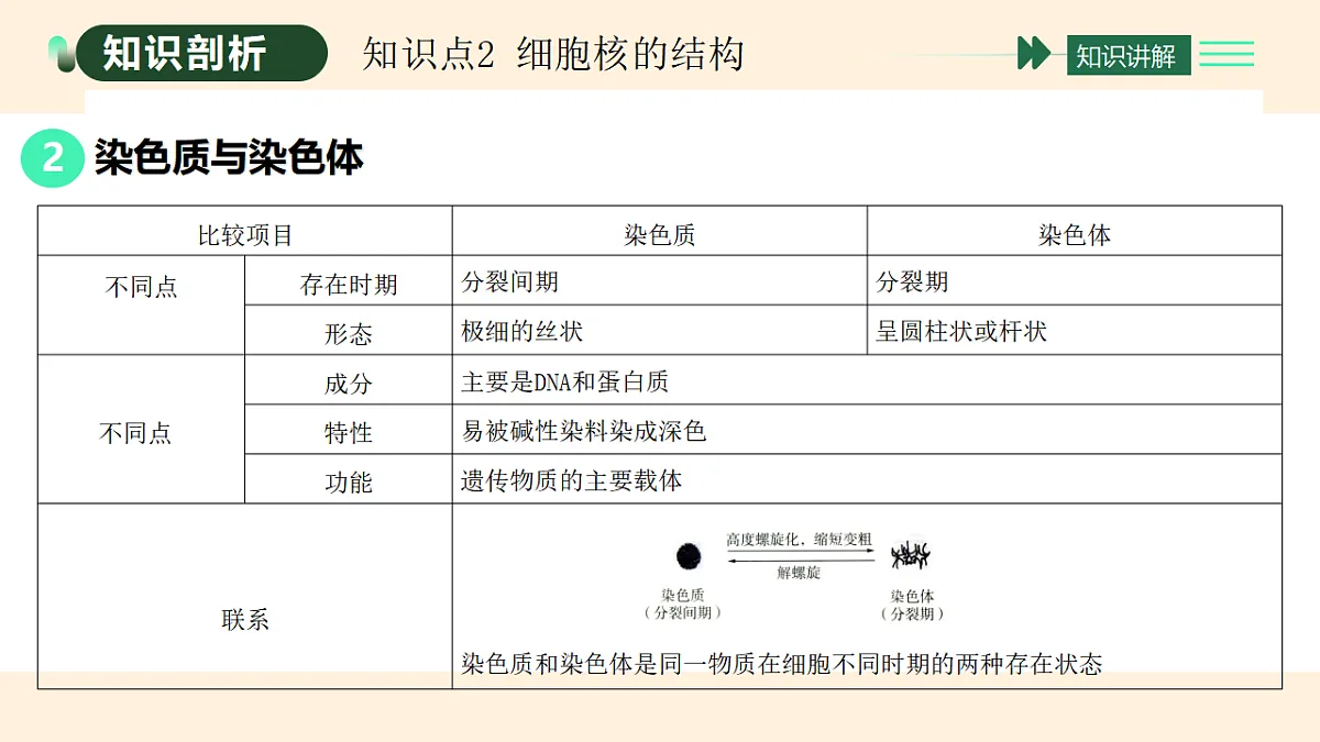 17455655第5页