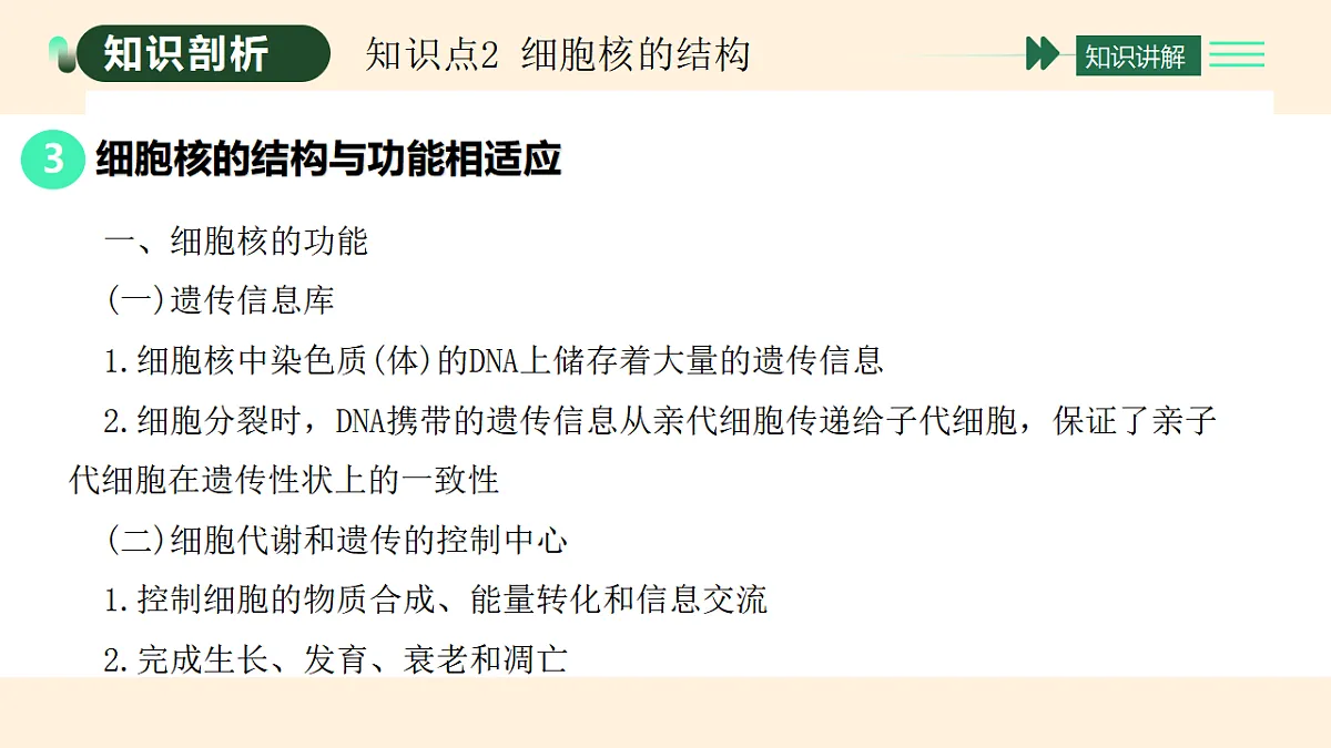 17455655第6页