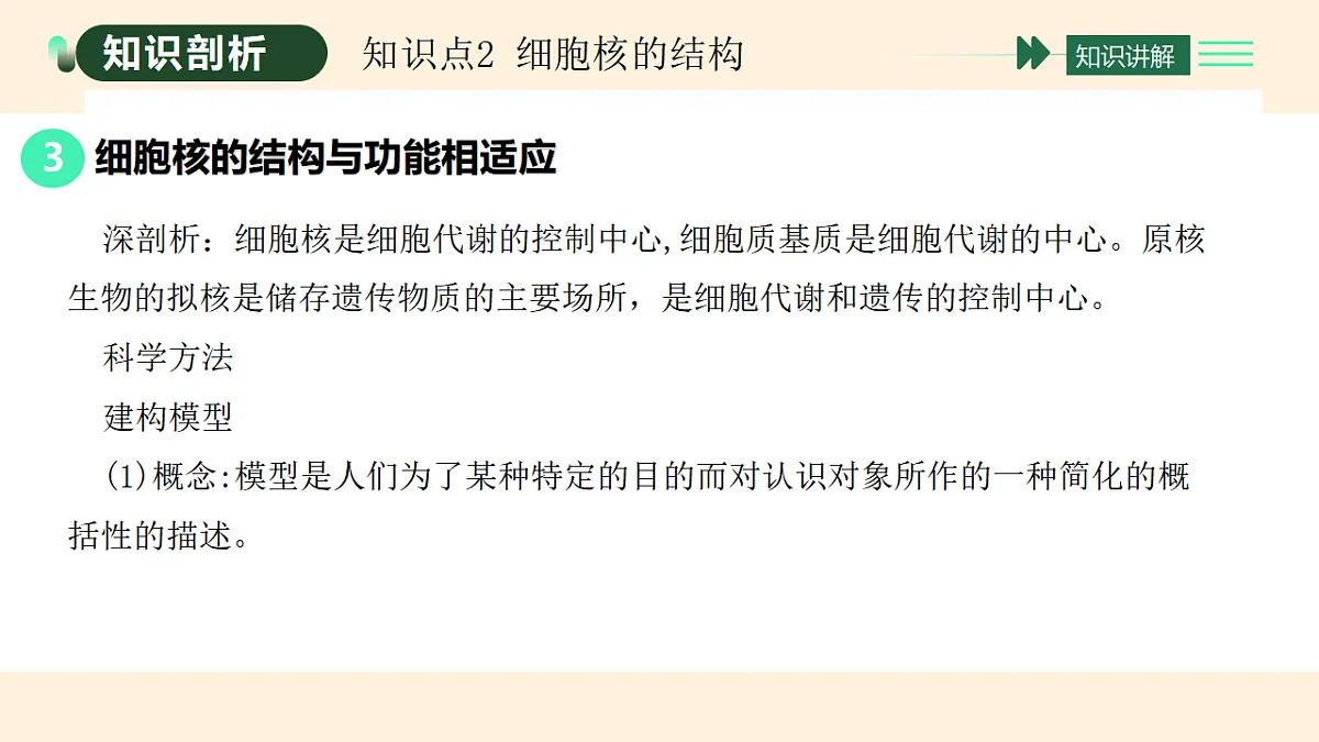 17455655第7页
