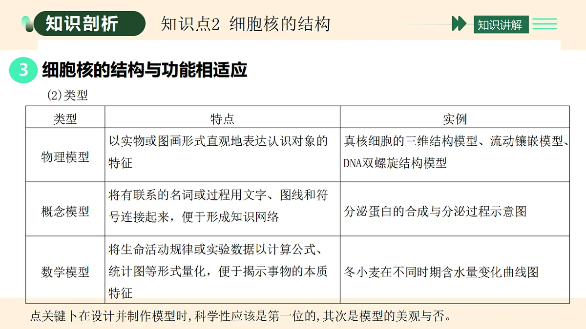 17455655第8页