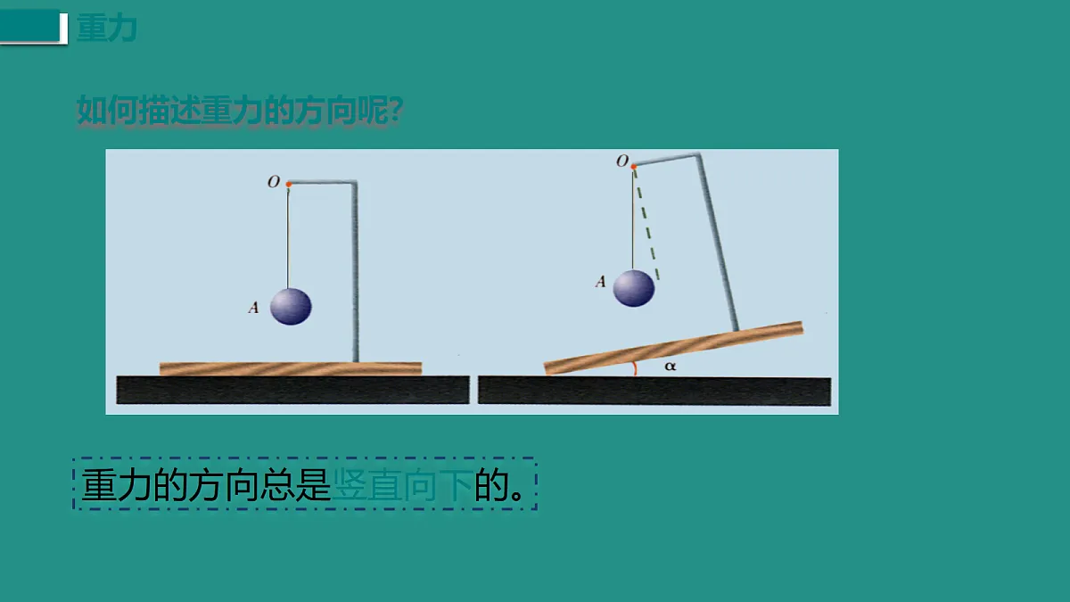 17458750第3页