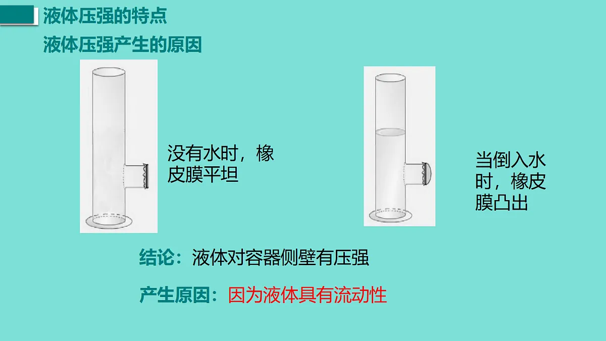 17458756第5页